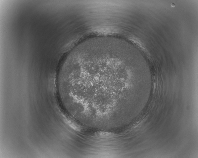 X0000068730590200605121520