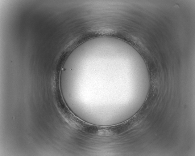 X0000068730591200605121520