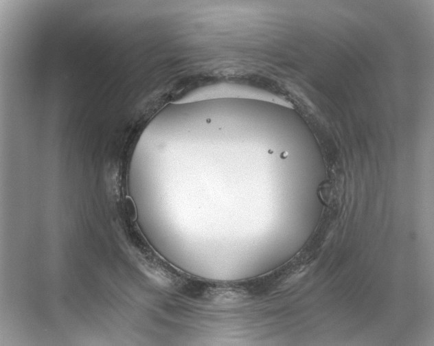 X0000068730597200605121520