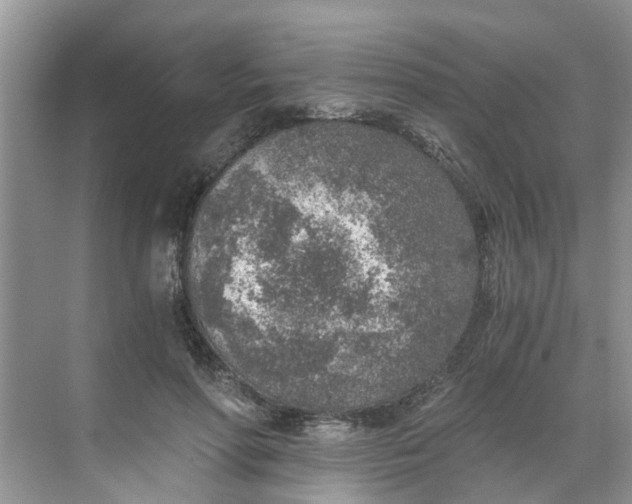 X0000068730598200605121520