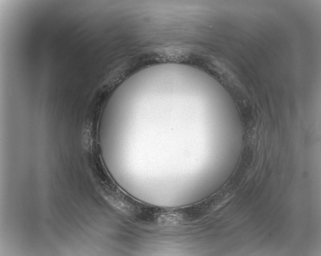 X0000068730599200605121520