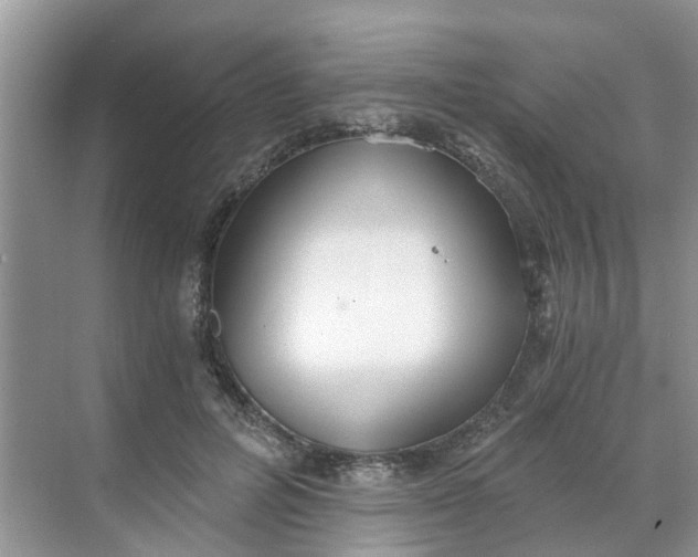 X0000068730600200605121520