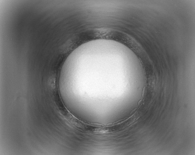 X0000068730602200605121520