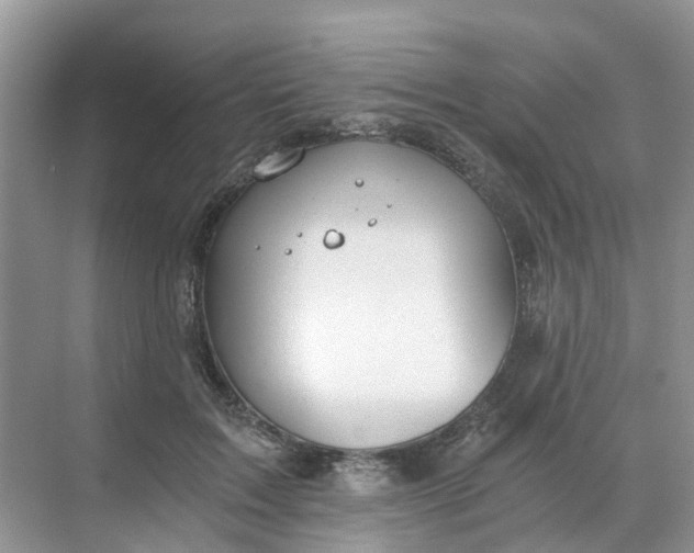 X0000068730603200605121520