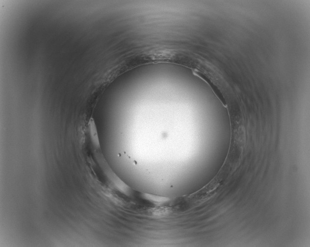 X0000068730604200605121520