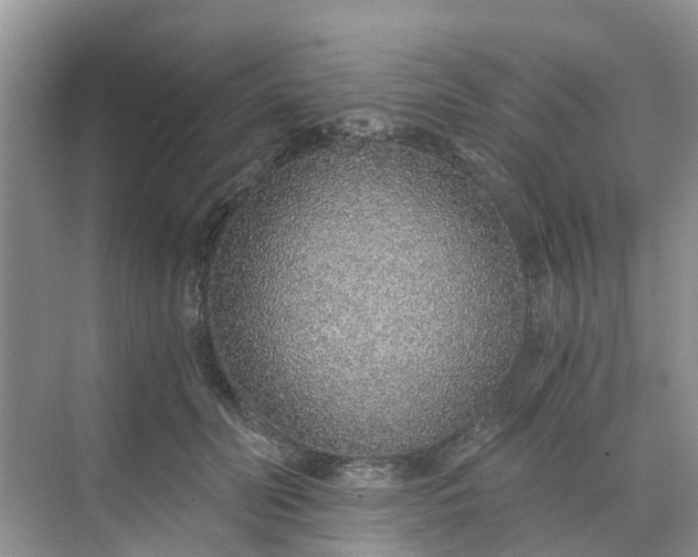 X0000068730606200605121520