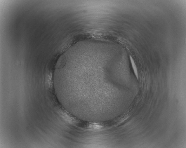 X0000068730610200605121520