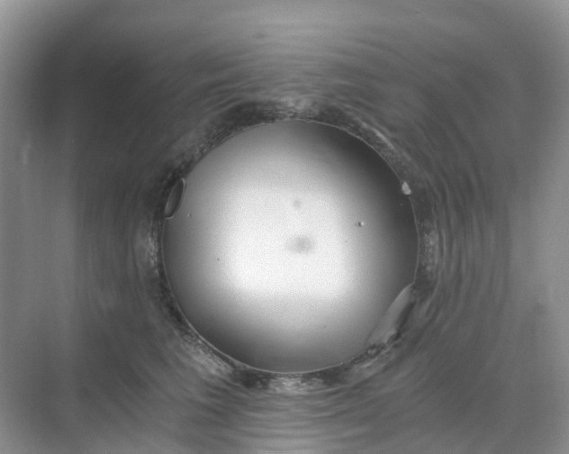 X0000068730613200605121520