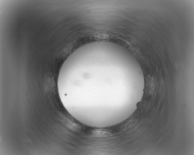 X0000068730614200605121520