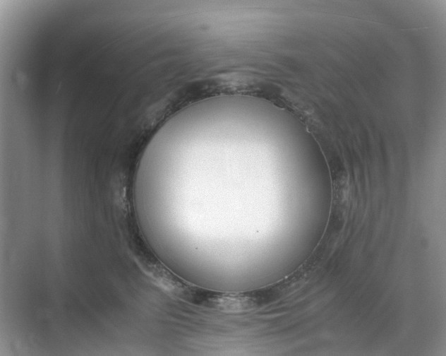 X0000068730615200605121520