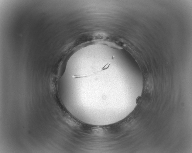 X0000068730616200605121520