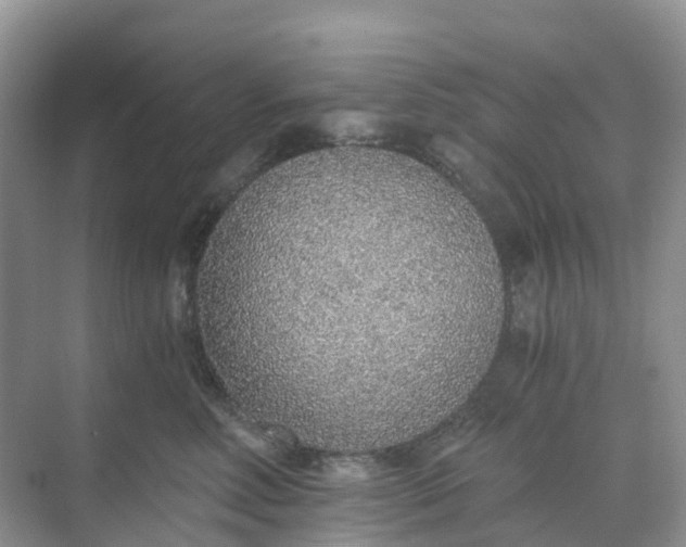 X0000068730618200605121520