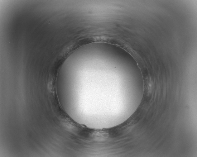 X0000068730619200605121520