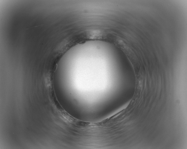 X0000068730620200605121519