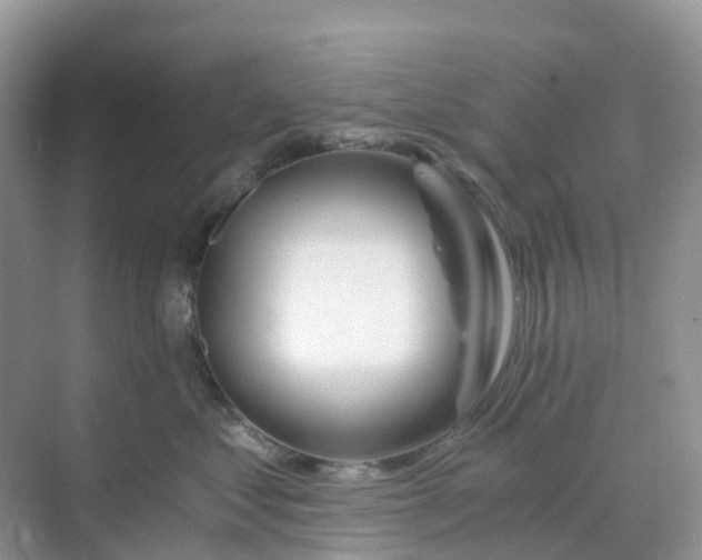 X0000068730621200605121519