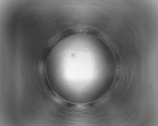 X0000068730623200605121519