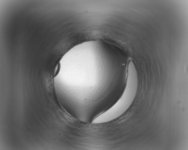 X0000068730624200605121519