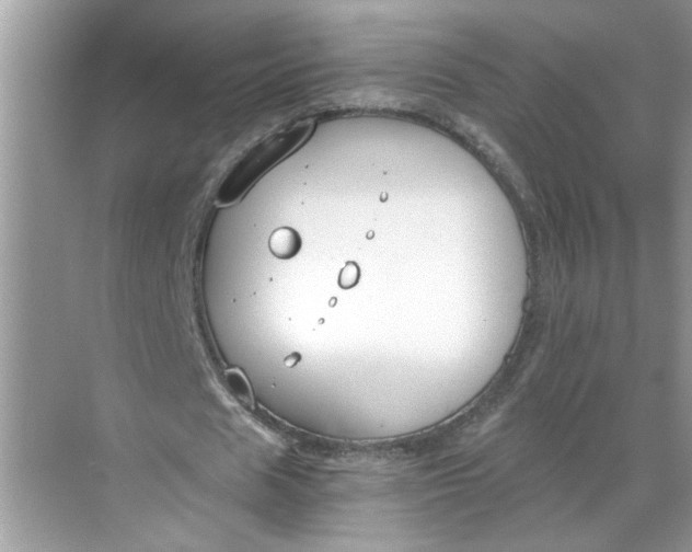 X0000068730625200605121519