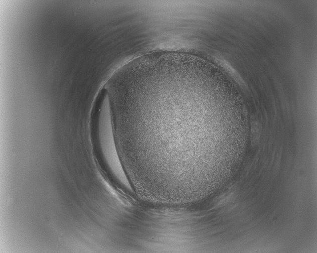 X0000068730626200605121519