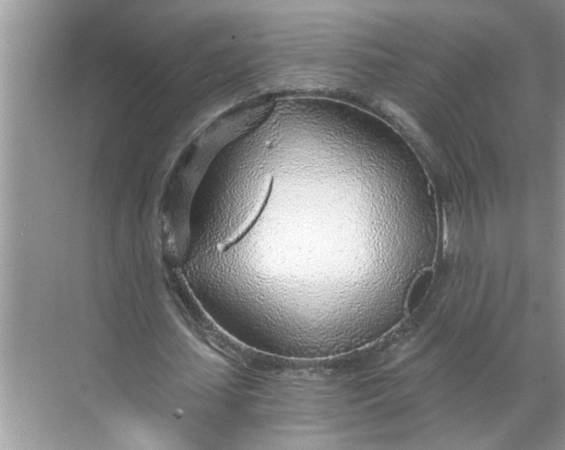 X0000068730627200605121519