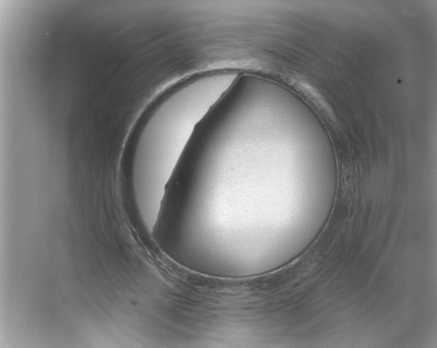 X0000068730628200605121519