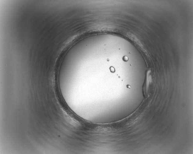 X0000068730629200605121519