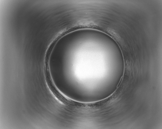 X0000068730630200605121519