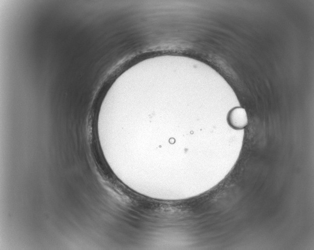 X0000068730632200605121519