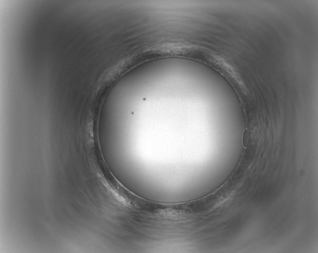 X0000068730633200605121519