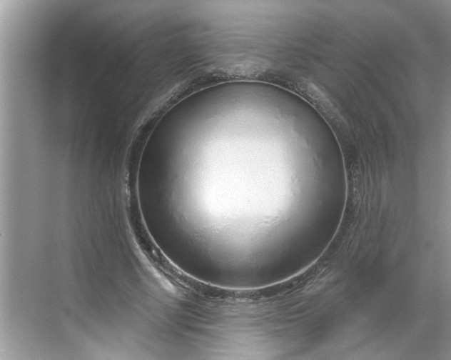 X0000068730634200605121519