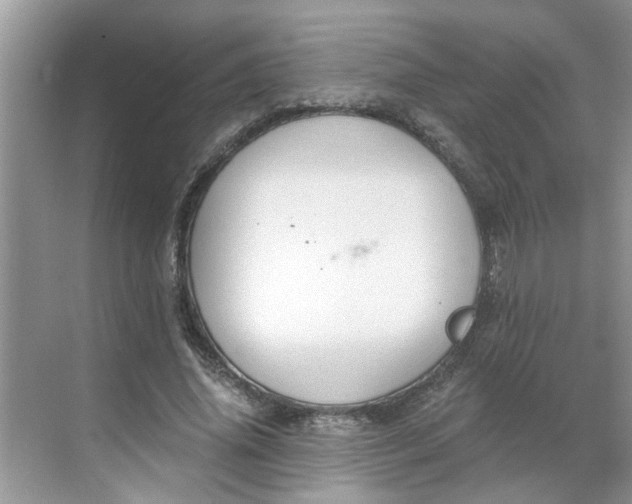 X0000068730636200605121519