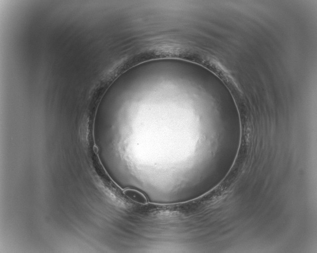 X0000068730637200605121519