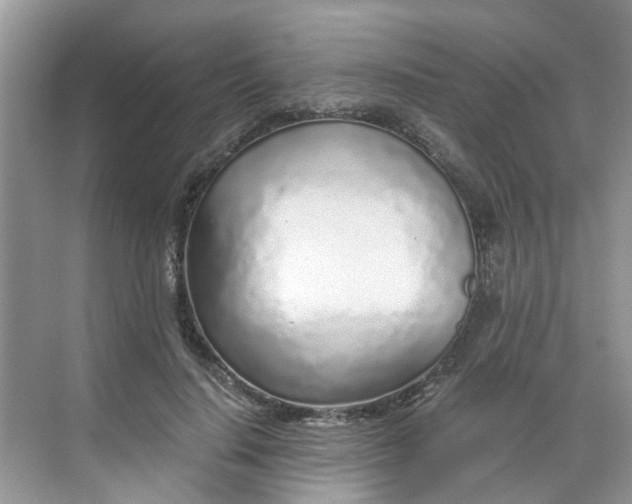 X0000068730644200605121519