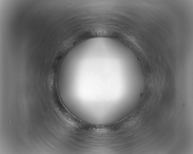 X0000068730645200605121519