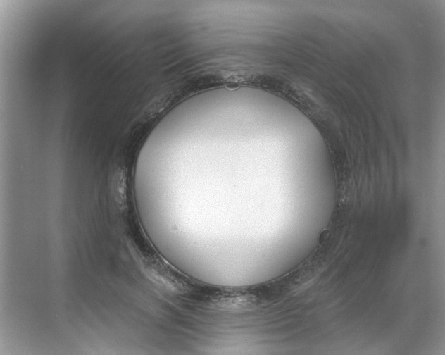 X0000068730646200605121519