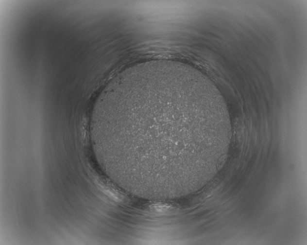 X0000068730650200605121519