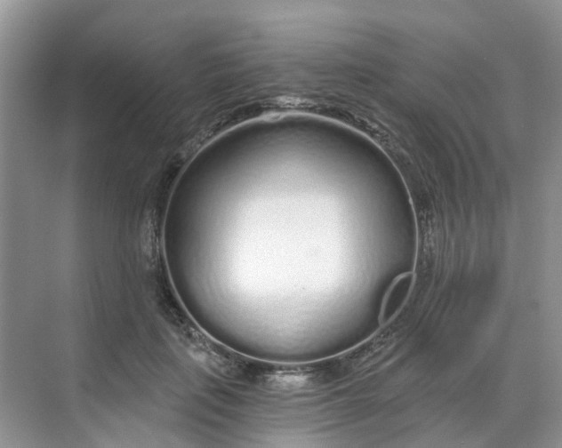 X0000068730651200605121519