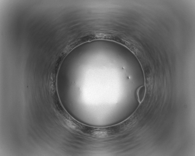 X0000068730653200605121519