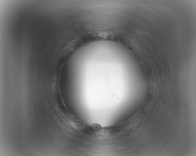 X0000068730656200605121519