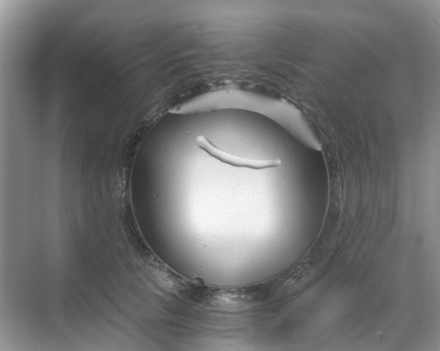 X0000068730657200605121519