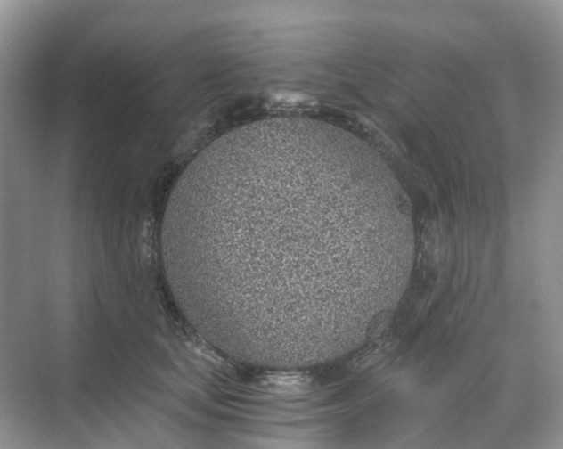 X0000068730659200605121519