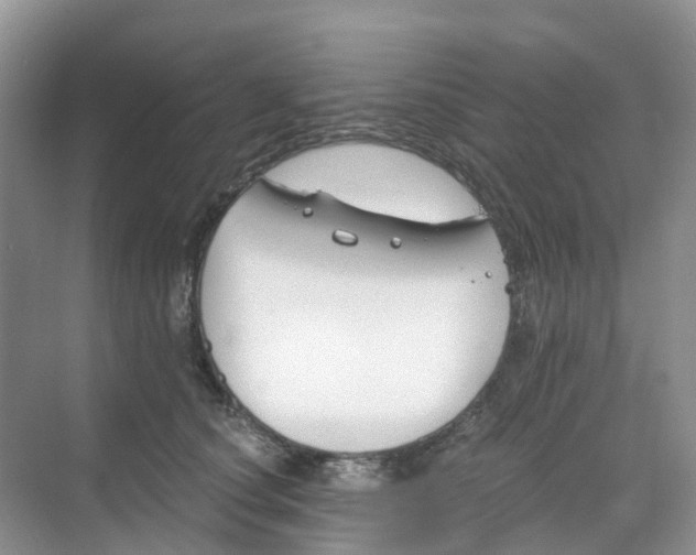 X0000068730660200605121519