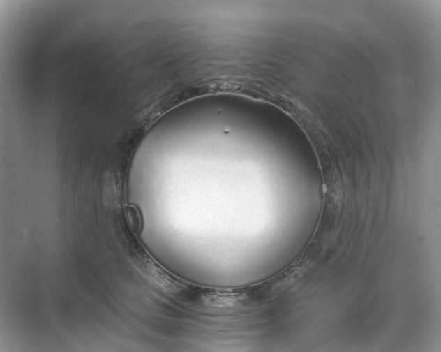 X0000068730661200605121519