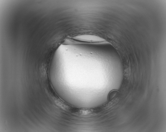 X0000068730662200605121519