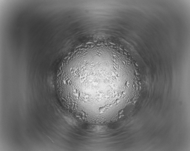 X0000068730663200605121519