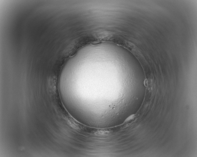 X0000068730664200605121519