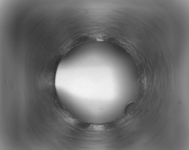 X0000068730665200605121519