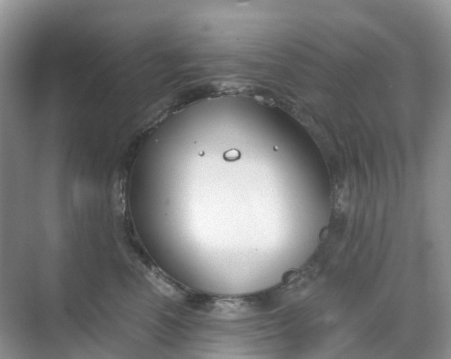 X0000068730666200605121519