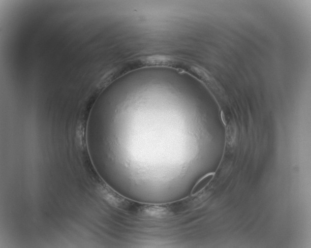 X0000068730669200605121519