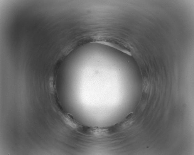 X0000068730670200605121519